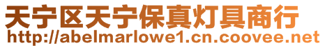 天寧區天寧保真燈具商行