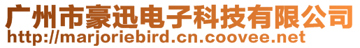 广州市豪迅电子科技有限公司