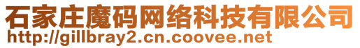 石家莊魔碼網(wǎng)絡(luò)科技有限公司