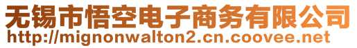 無錫市悟空電子商務(wù)有限公司