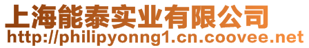 上海能泰實業有限公司