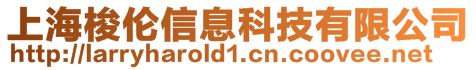 上海梭倫信息科技有限公司