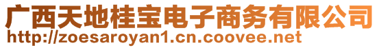 廣西天地桂寶電子商務(wù)有限公司