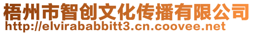 梧州市智創(chuàng)文化傳播有限公司