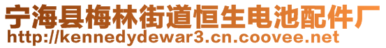 寧海縣梅林街道恒生電池配件廠