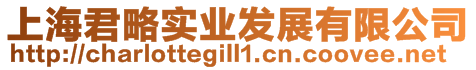 上海君略實(shí)業(yè)發(fā)展有限公司