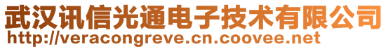 武漢訊信光通電子技術有限公司