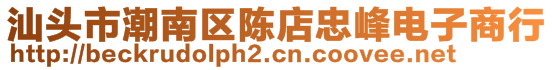 汕頭市潮南區(qū)陳店忠峰電子商行