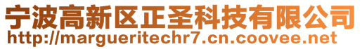 寧波高新區正圣科技有限公司