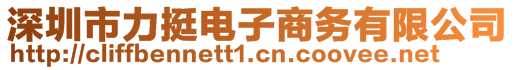 深圳市力挺電子商務(wù)有限公司