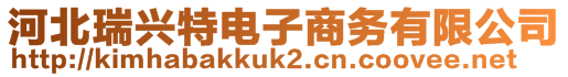 河北瑞興特電子商務有限公司