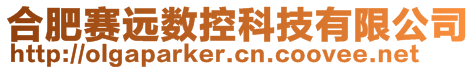 合肥賽遠數(shù)控科技有限公司