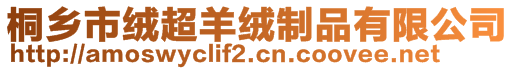 桐鄉(xiāng)市絨超羊絨制品有限公司