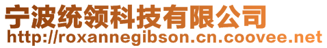 寧波統領科技有限公司