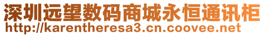 深圳遠(yuǎn)望數(shù)碼商城永恒通訊柜