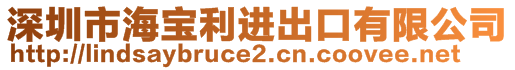 深圳市海寶利進出口有限公司