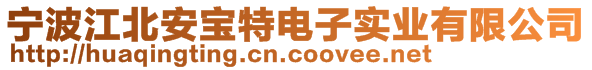 寧波江北安寶特電子實業(yè)有限公司