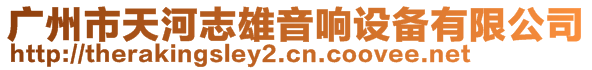 廣州市天河志雄音響設(shè)備有限公司