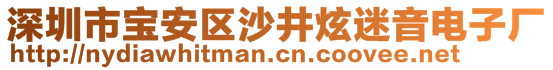 深圳市宝安区沙井炫迷音电子厂