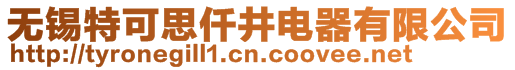 無錫特可思仟井電器有限公司