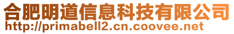 合肥明道信息科技有限公司