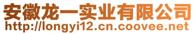 安徽龙一实业有限公司