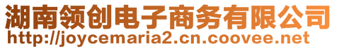 湖南領(lǐng)創(chuàng)電子商務(wù)有限公司