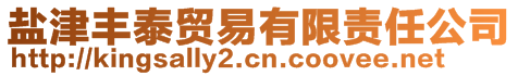 鹽津豐泰貿易有限責任公司