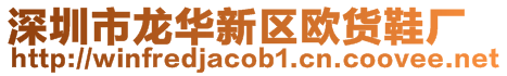 深圳市龍華新區(qū)歐貨鞋廠