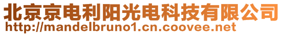 北京京電利陽光電科技有限公司