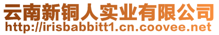 云南新銅人實(shí)業(yè)有限公司