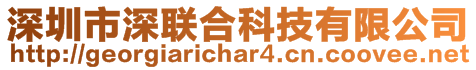 深圳市深聯(lián)合科技有限公司
