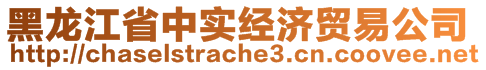 黑龙江省中实经济贸易公司