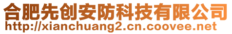 合肥先創安防科技有限公司
