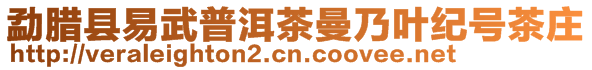 勐臘縣易武普洱茶曼乃葉紀(jì)號(hào)茶莊