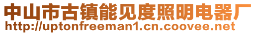 中山市古鎮(zhèn)能見度照明電器廠