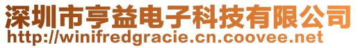 深圳市亨益電子科技有限公司