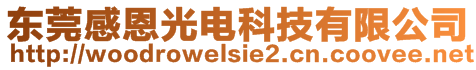 東莞感恩光電科技有限公司