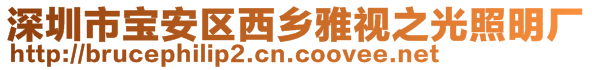 深圳市寶安區(qū)西鄉(xiāng)雅視之光照明廠