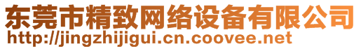 東莞市精致網(wǎng)絡(luò)設(shè)備有限公司