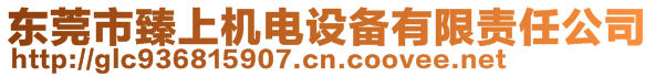 東莞市臻上機電設備有限公司