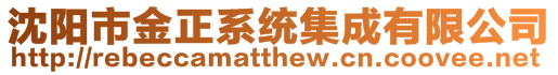 沈陽市金正系統集成有限公司
