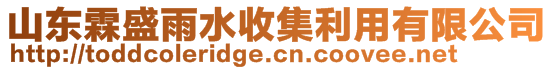 山東霖盛雨水收集利用有限公司