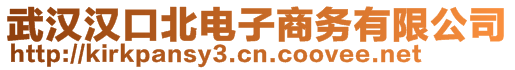 武漢漢口北電子商務有限公司