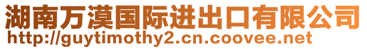 湖南萬漠國際進出口有限公司