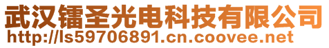 武汉镭圣光电科技有限公司