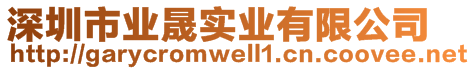 深圳市业晟实业有限公司