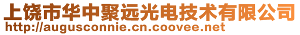 上饒市華中聚遠光電技術有限公司