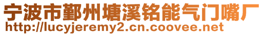 寧波市鄞州塘溪銘能氣門嘴廠