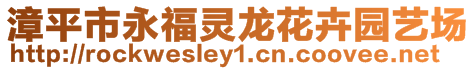 漳平市永福靈龍花卉園藝場(chǎng)